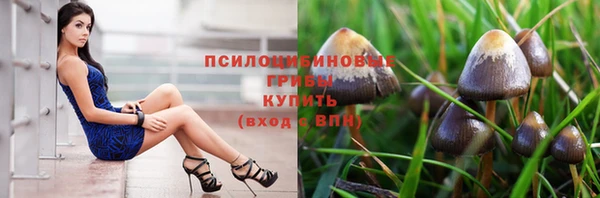 каннабис Верея