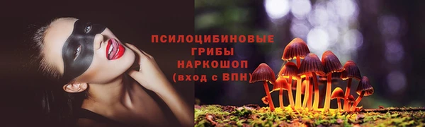 прущий лед Бронницы