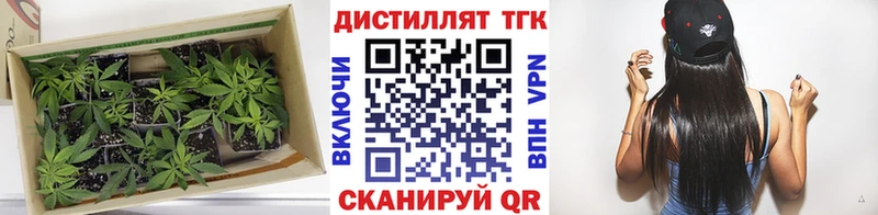 ТГК вейп с тгк Мезень